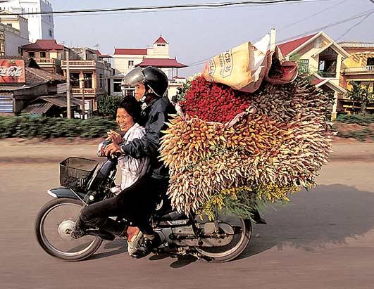 Scooter11.JPG
