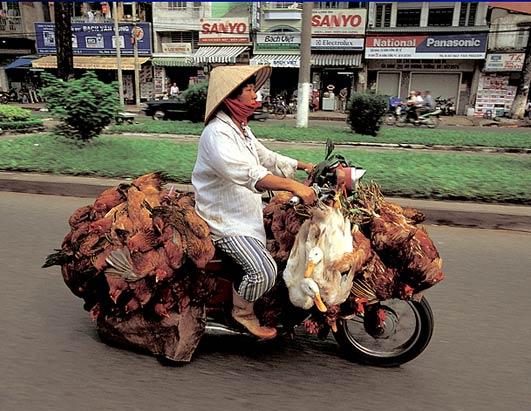Scooter2.JPG