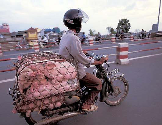 Scooter.JPG