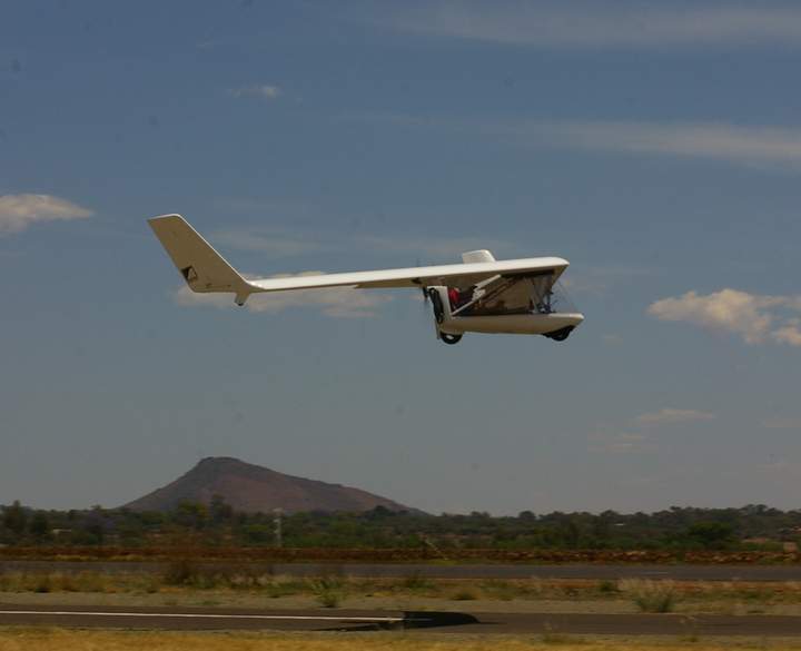 swift1.JPG