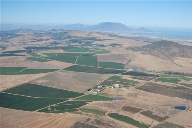 Durbanville Hills.JPG