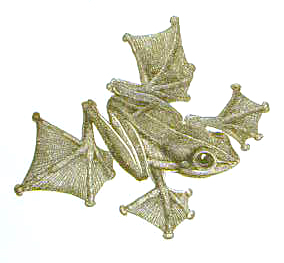 parraglider.JPG