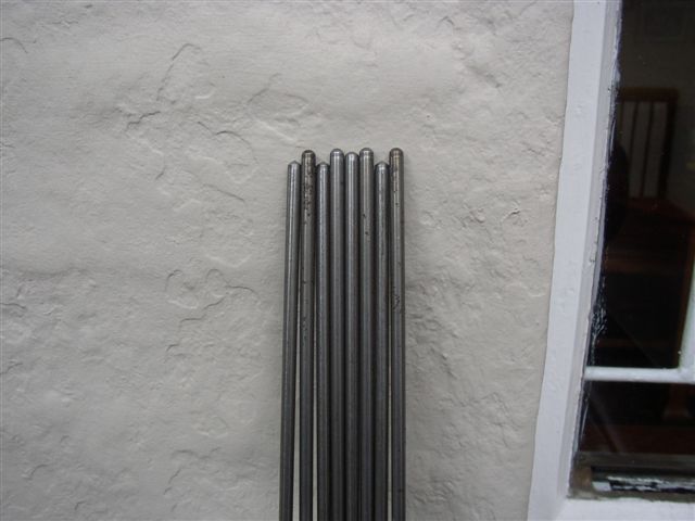 P1010003.JPG