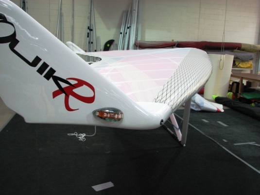 Wing view.JPG