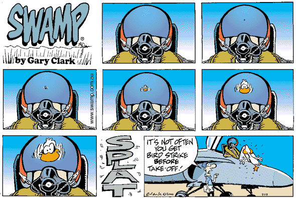 birdstrike.gif