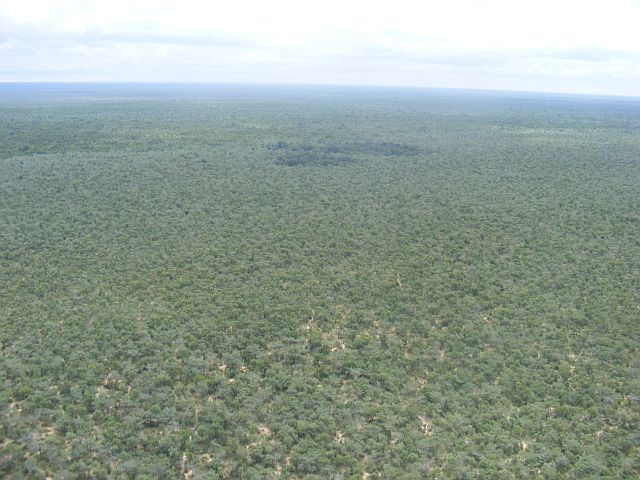 DSCF2157.JPG