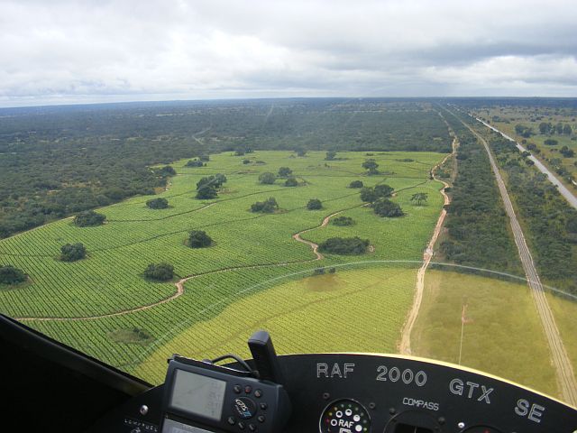 DSCF2226.JPG