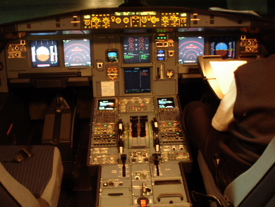DSC01557_01.jpg