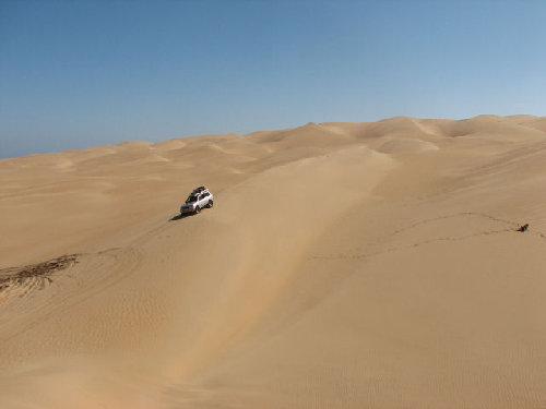 Dunes 3.jpg