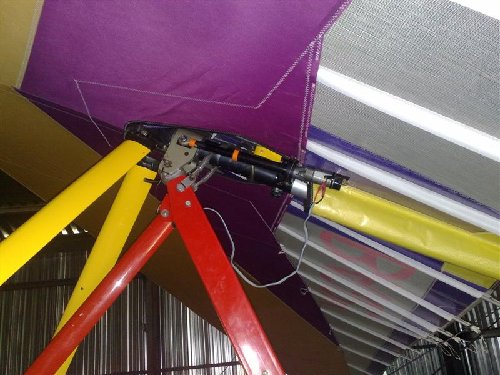 20090519123 (Medium).jpg
