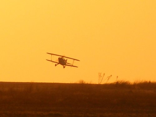 DSCF4286.JPG