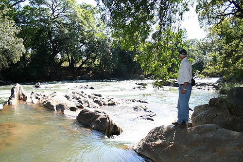 Where are those Hippos.JPG