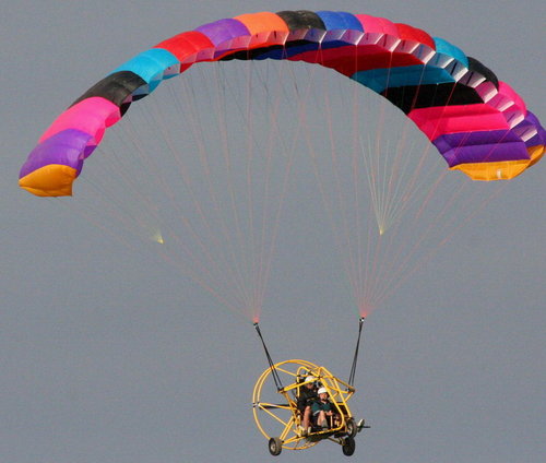 Buckeye-in-flight.jpg