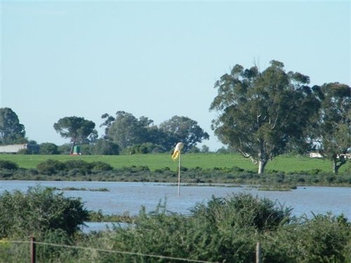 DSCF0078.jpg