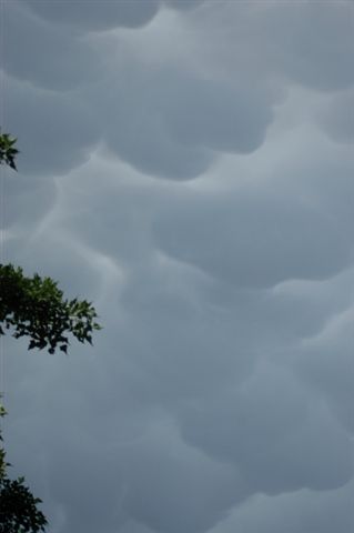 DSC_21830001.JPG