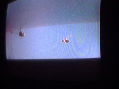 20090816396 (Medium).jpg