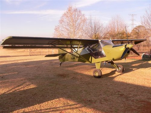 bUSHBABY 265.jpg