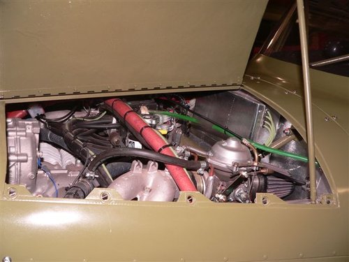 bUSHBABY 285.jpg