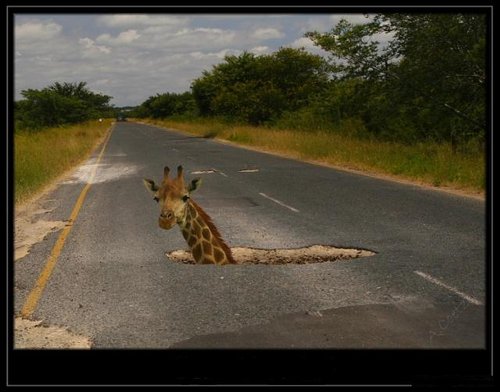 Road to Sun City.jpg