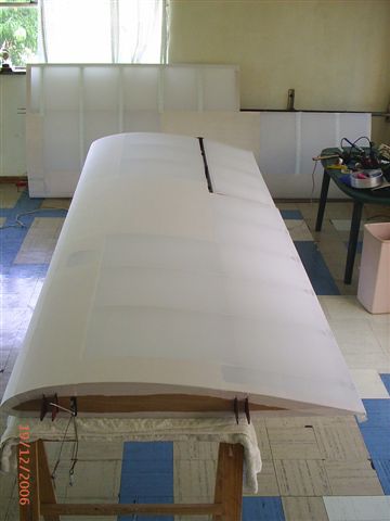 Whole wing pic.jpg