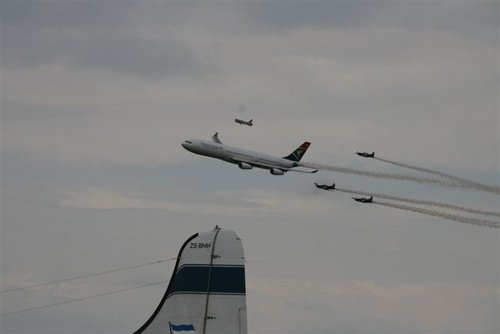 SAA  & Sliver Falcons.jpg