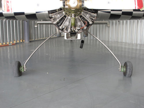 Yak 55.jpg