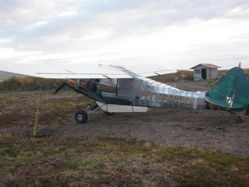 5 (Medium).jpg