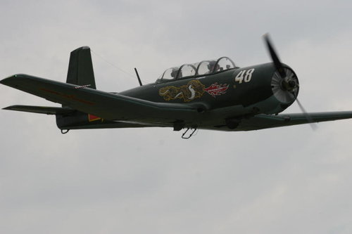 IMG_7120_7.JPG