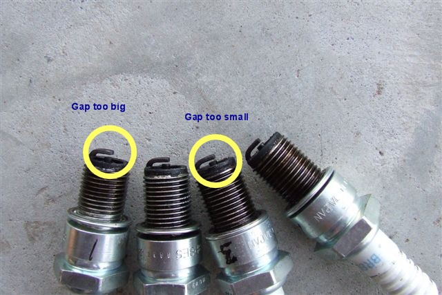 plugs_775.jpg