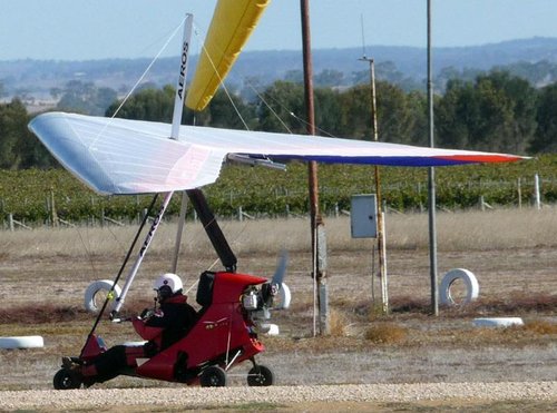 Dragofly 1.jpg