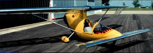 Falcon P1.jpg