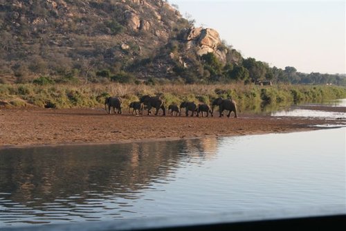 From Willie's boat-elephants.jpg