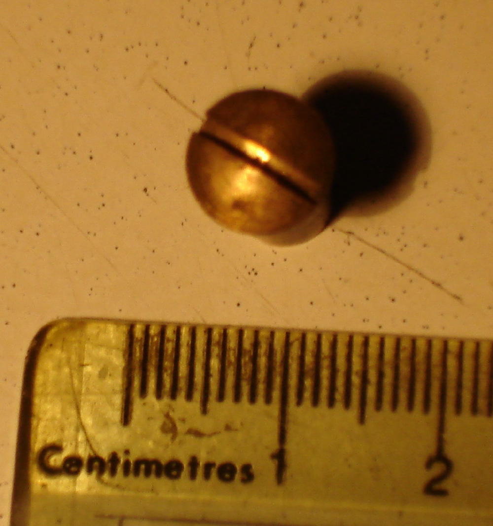DSC03462.1_1_1.jpg