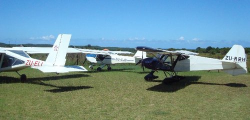 Foxbat, Bushbaby & Cheetah.jpg