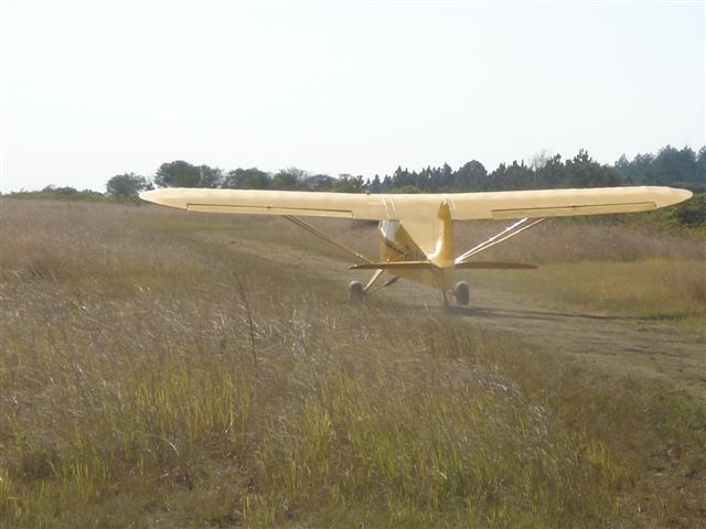 VAG at FALM.JPG