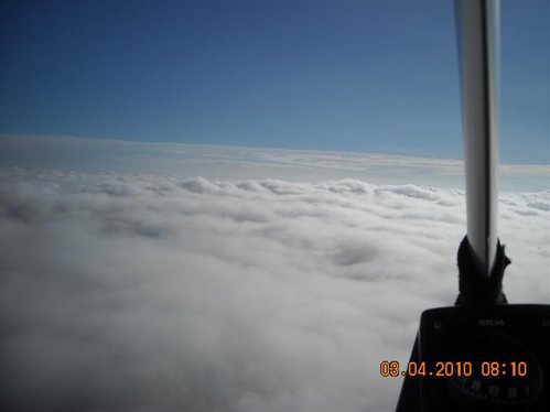 DSCN0549_450 (Medium).JPG