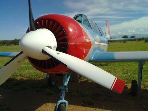 Zebula 1.jpg