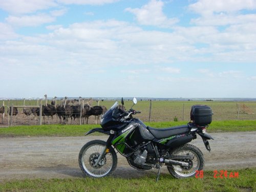 KLR-650 059.jpg