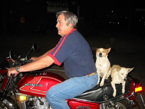 cx500.jpg