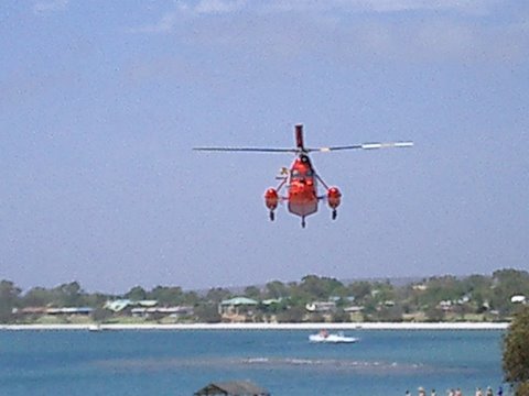 CIMG1688.jpg