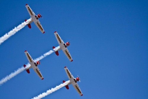 BPHarvards3.jpg