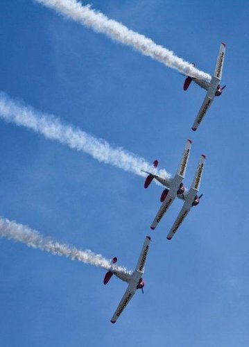 BPHarvards4.jpg
