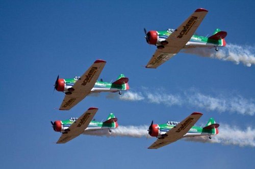BPHarvards5.jpg