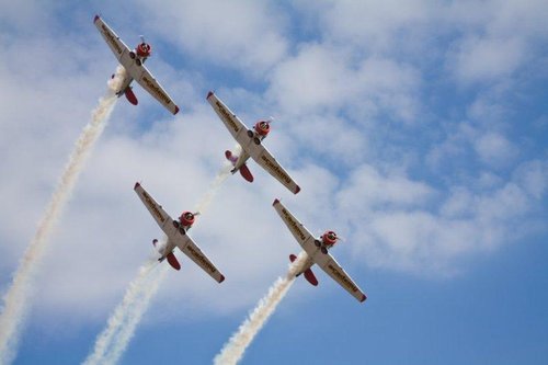BPHarvards6.jpg