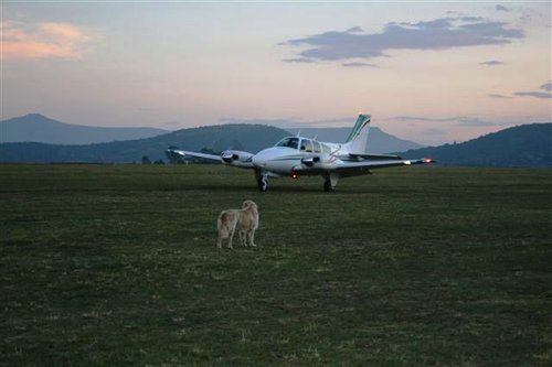 FLY-IN 2010 256.jpg