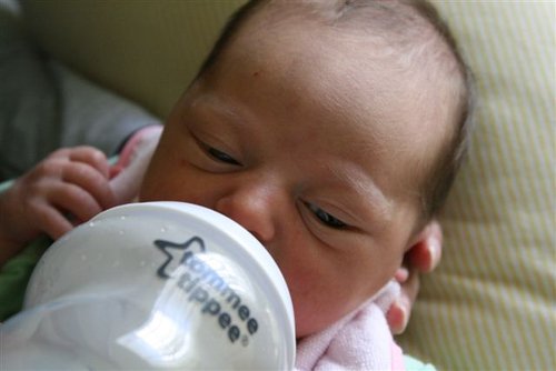 Picture 174.jpg