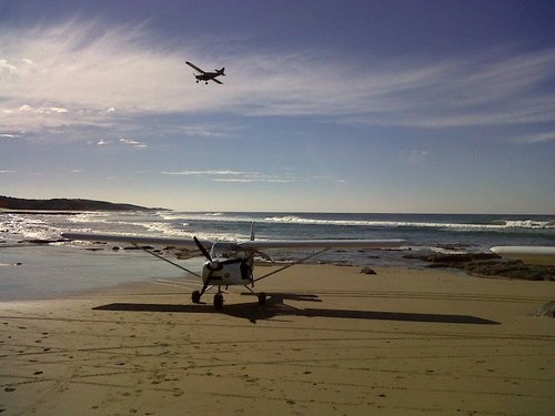 wild coast on the beach.jpg