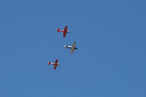 DSC_0524.JPG