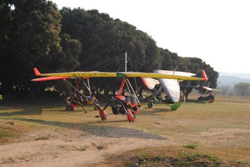vlieg (Small).JPG