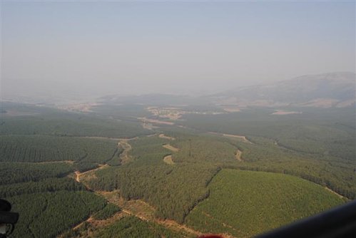 vlieg (69) (Small).JPG